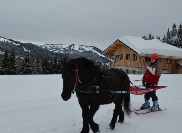  Iniciación de skijoring en Les Gets 